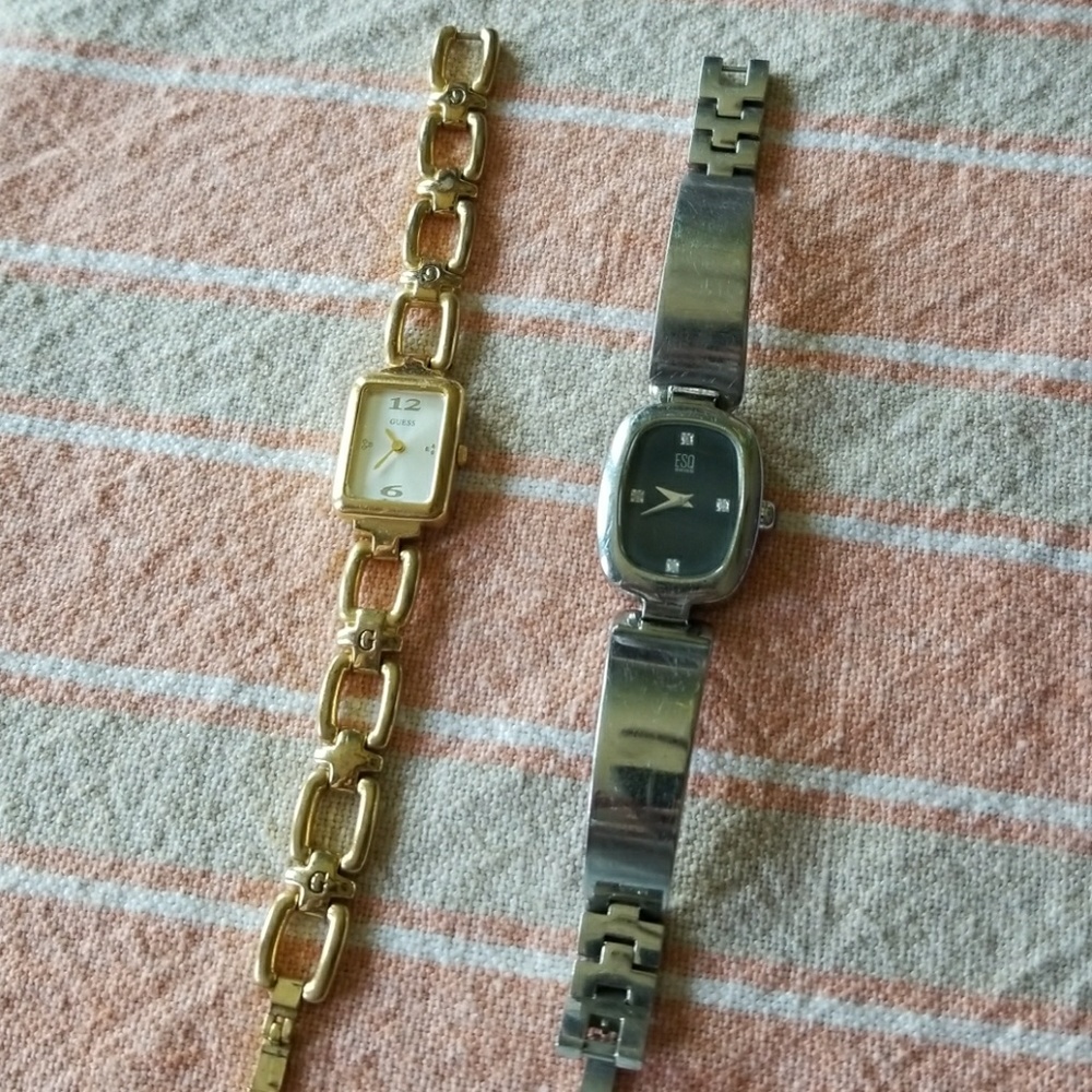 Stainless Steel ESQ Swiss watch and YG Guess watch